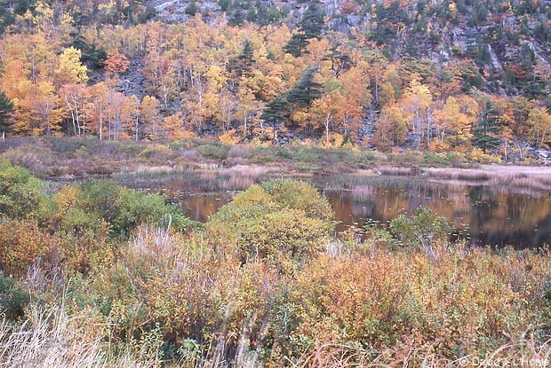 The Tarn, Acadia National Park [boston and beyond - 13 - 21 October 2000 - by David J. L'Hoste]