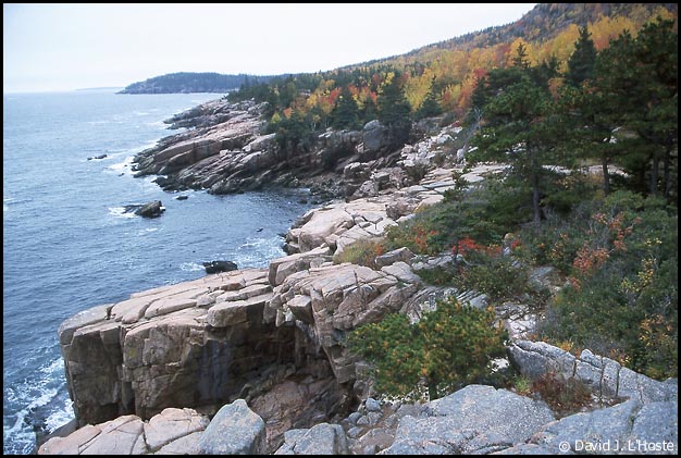 Maine Coast - Acadia National Park - by David J. L'Hoste