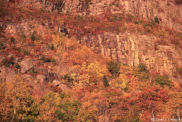 Acadia National Park [boston and beyond - 13 - 21 October 2000 - by David J. L'Hoste]