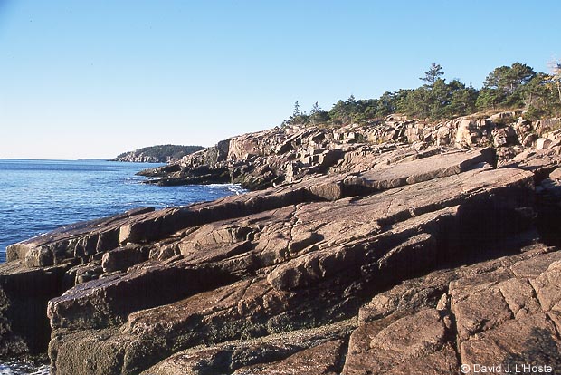 Maine Coast by David J. L'Hoste