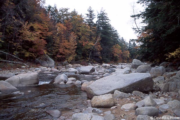 Pemigewasset River, New Hampshire - by David J. L'Hoste