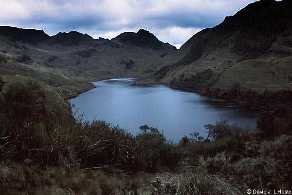 ECUADOR 2001 -- Hidden Lake --  by David J. L'Hoste
