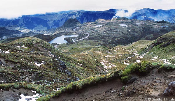 ECUADOR 2001 -- Above Papallacta Pass at 14,000 Feet --  by David J. L'Hoste