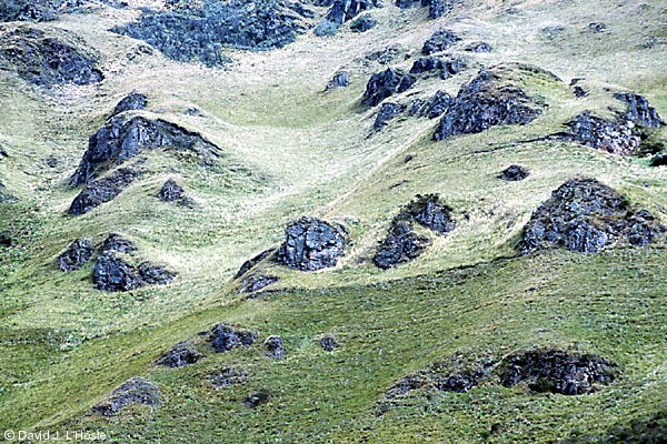 ECUADOR 2001 --High Andes Mountainside --  by David J. L'Hoste