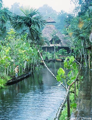 ECUADOR 2001 -- Sacha Lodge canoe landing --  by David J. L'Hoste