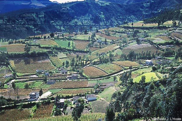 ECUADOR 2001 -- Sierra Farmland --  by David J. L'Hoste