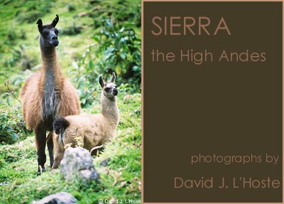 High Andes (Sierra) --  by David J. L'Hoste