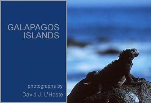 Glalpagos Islands - photographs by David J. L'Hoste