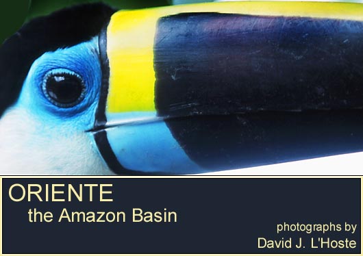 Oriente, the Amazon Basin -- photographs by David J. L'Hoste
