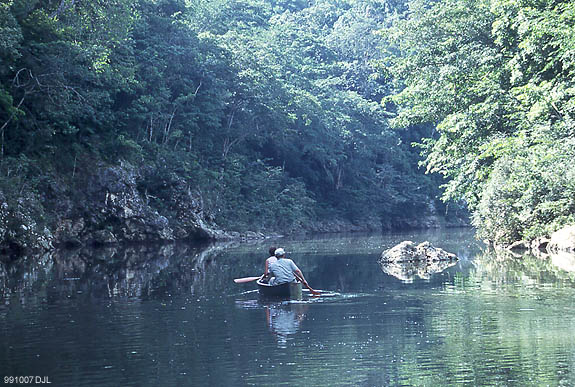 Canoeing the Macal River  - by David J. L'Hoste