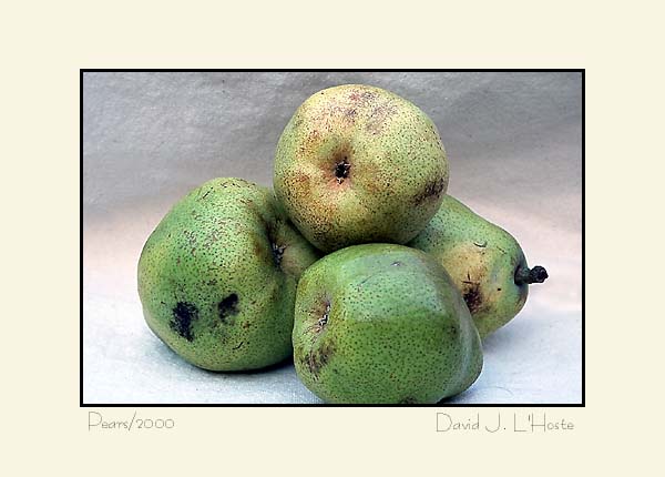 Pears 2000 - by David J. L'Hoste