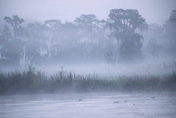 Bayou Segnette Dawn - 25 March 2000 - by D.J. L'Hoste