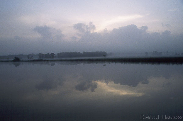 Bayou Segnette Dawn II - 25 March 2000 - by D.J. L'Hoste