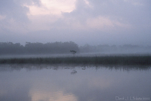 Bayou Segnette Dawn III - 25 March 2000 - by D.J. L'Hoste